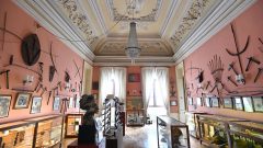 Museu dia dos Museus Noite dos Museus atividades