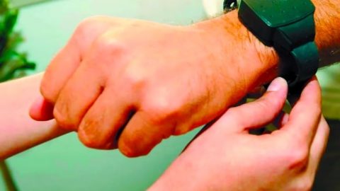 Pulseira eletrónica José Castelo Branco Violência doméstica portal estatísticas