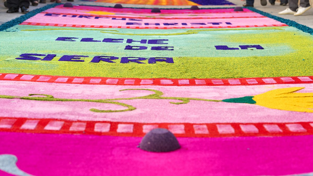 elche de la sierra 4