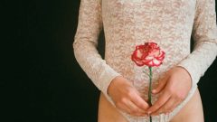 doenças ginecológicas saúde feminina