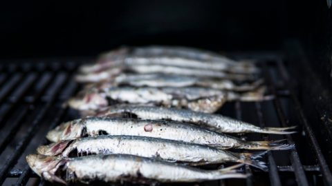 sardinha mesa portuguesa