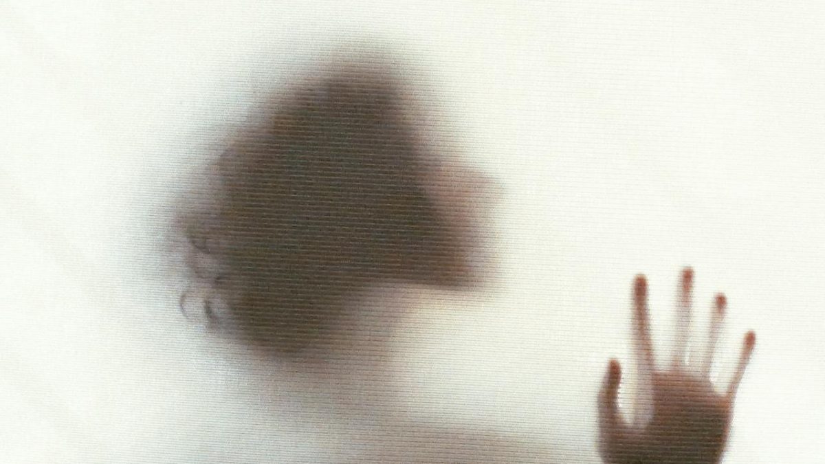 pexels-jameshausley-4024732