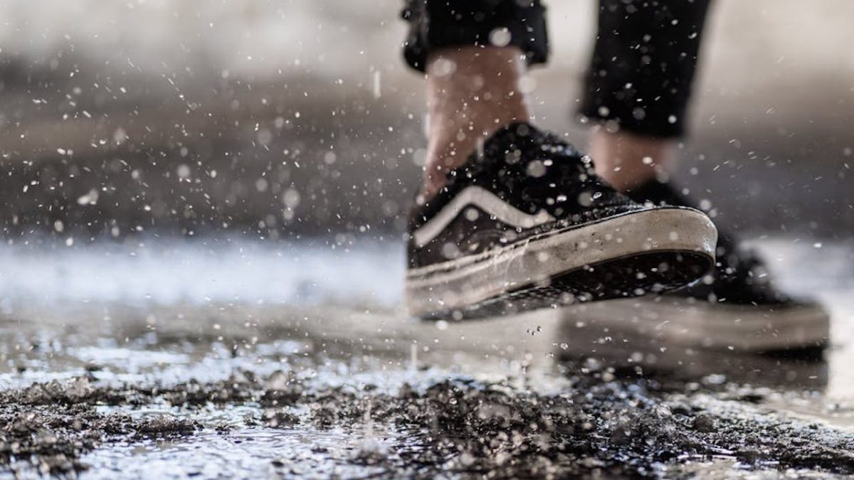 pexels-jean-daniel-3908085