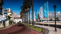 cascais licença avós