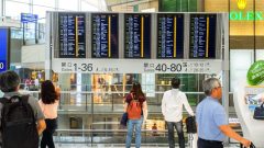 direitos viagem regras estudo portugueses