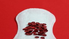 pessoas menstruam inquérito DGS