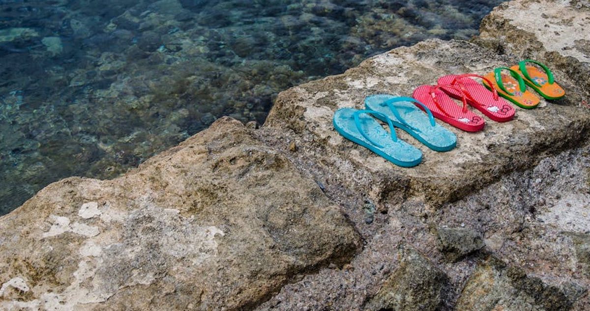 pexels-davidortega-131021 (1)