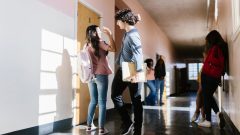 escola nova disciplina literacia financeira testes