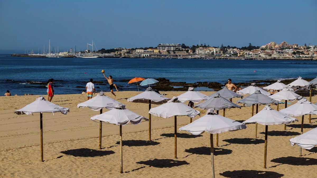 43569180_GI30042022LN000021