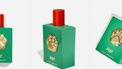 perfume cães Dolce & Gabbana Fefe PETA animais alerta
