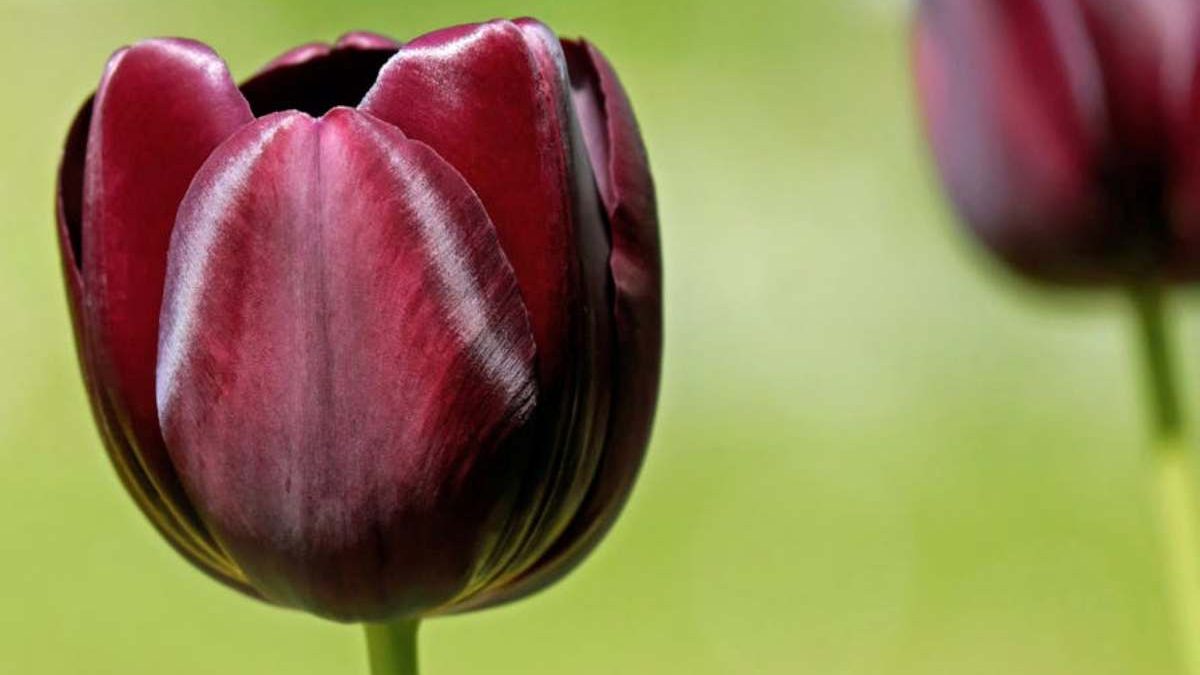 pexels-couleur-20677180