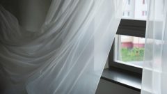 janela lençol luta paz iniciativa famosos