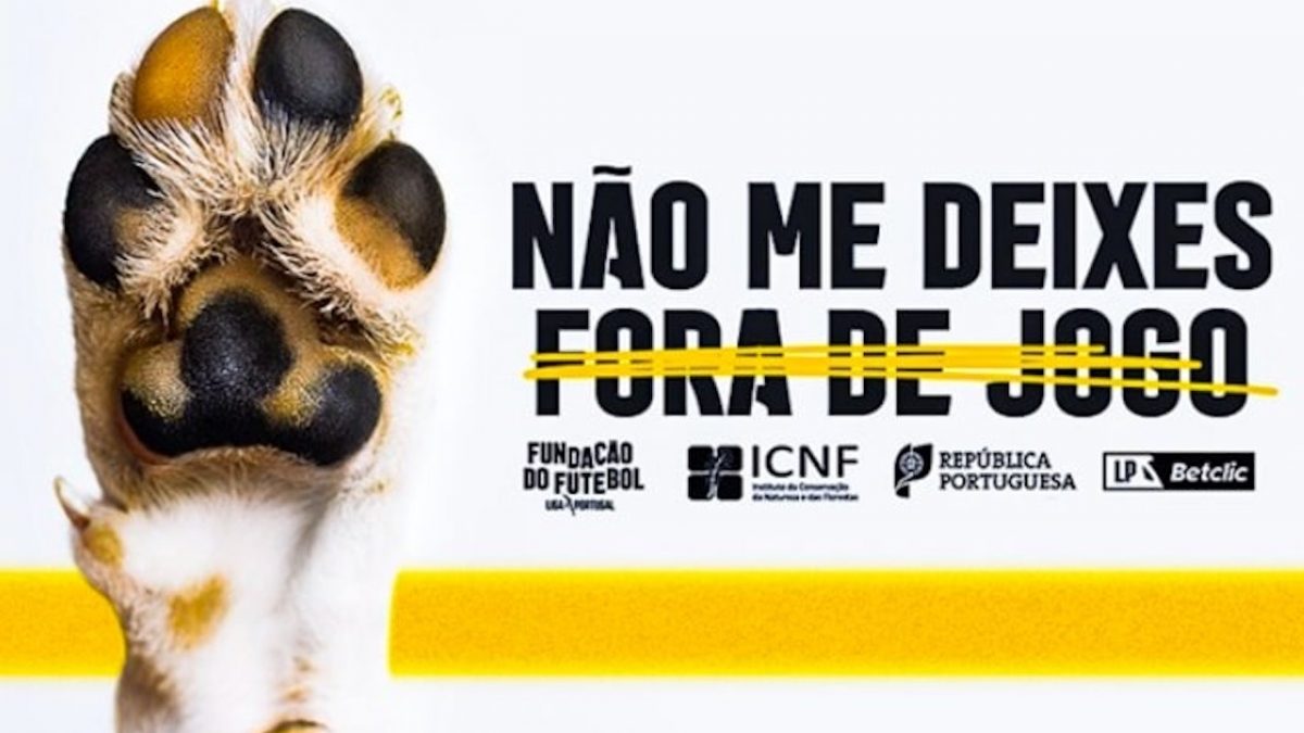 Captura de ecrã 2024-09-30, às 23.34.34