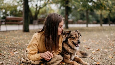 cães humanos abrandam sílaba fala