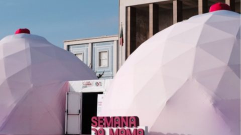 dadiva sangue dar cancro da mama metástico semana da mama outubro investigação