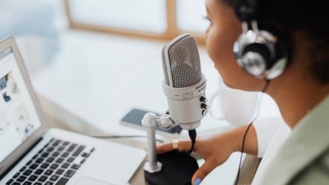 criadores conteúdos verificação estudo