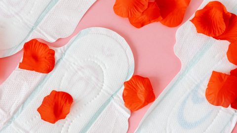 menopausa regime comparticipação OE2025 aditamenro Bloco de Esquerda