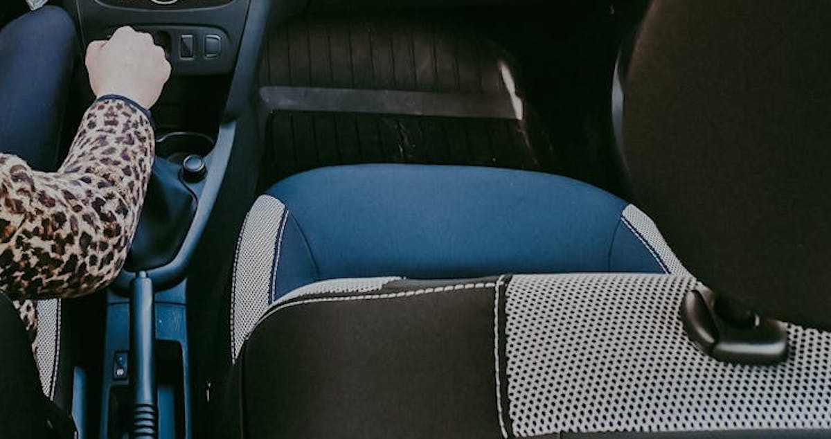 pexels-robert-nagy-512974-3809002