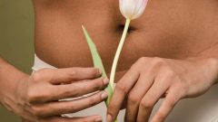 Fraldas incontinência apoio estado Ministério da Saúde