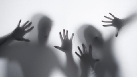 violência doméstica homens queixas aumentam APAV