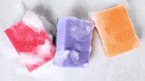 esponja biodegradável mivroplásticos nanoplásticos ciência