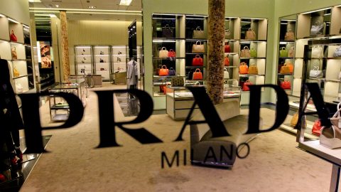 Prada comparar versace possibilidade