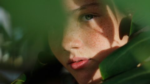 Shopping Sardas Falsas