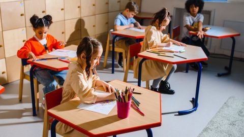 escola inclusiva professores