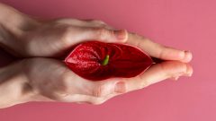 pipy vulva Infarmed fiscalização cosmético Cristina Ferreira