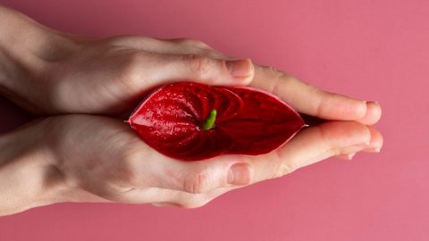 pipy vulva Infarmed fiscalização cosmético Cristina Ferreira