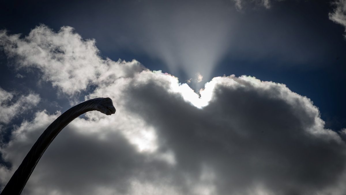 30325600_GI02022018JORGEAMARAL003