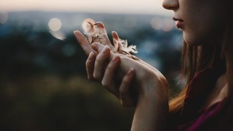 esperança média de vida