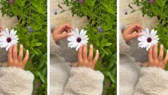 unhas de gel Georgina Rodriguez montagem