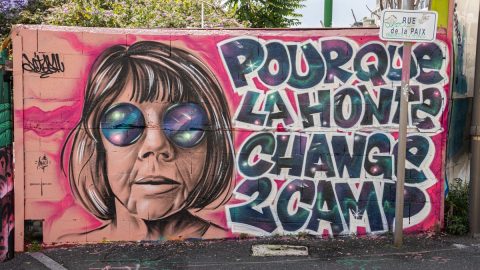 Gisèle Pelicot documentário max