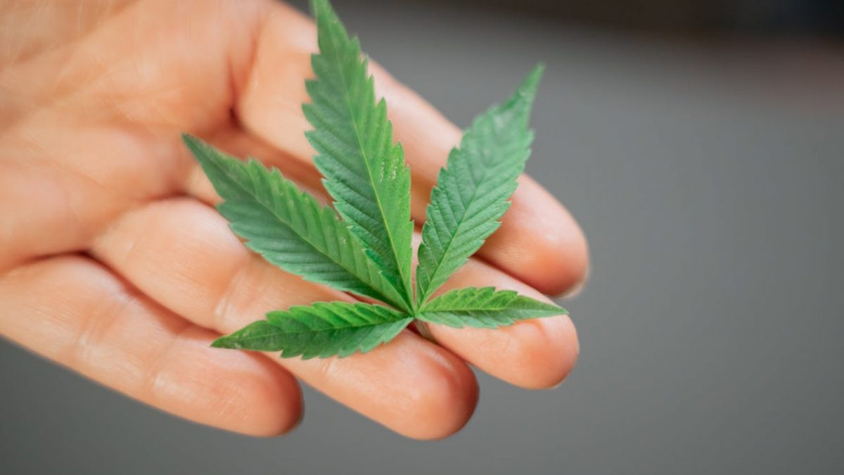 pexels-kindelmedia-7667798