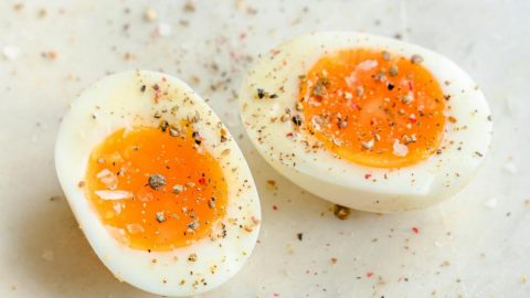 cozer ovo panela tigela minutos ciência cientistas